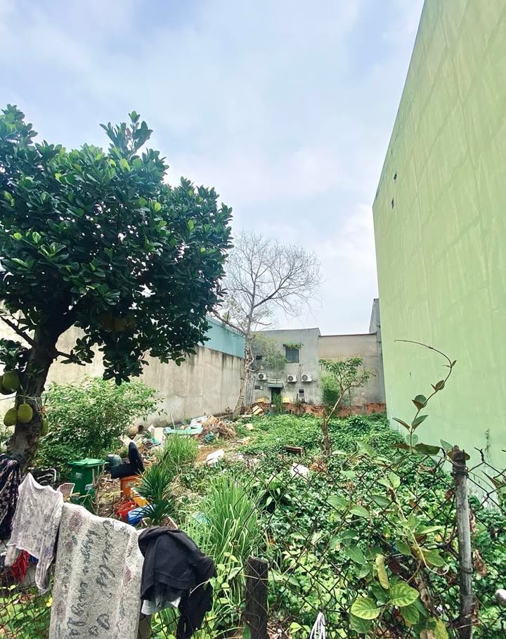 Đất hẻm 331 Phan Huy Ích, Gò Vấp 81m² giá 5 tỷ - Sổ hồng chính chủ, thương lượng ngay!