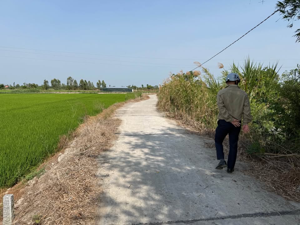 Đất nền 7629m² xã Vĩnh Thạnh, huyện Lấp Vò - Giá chỉ 1.945 tỷ VND