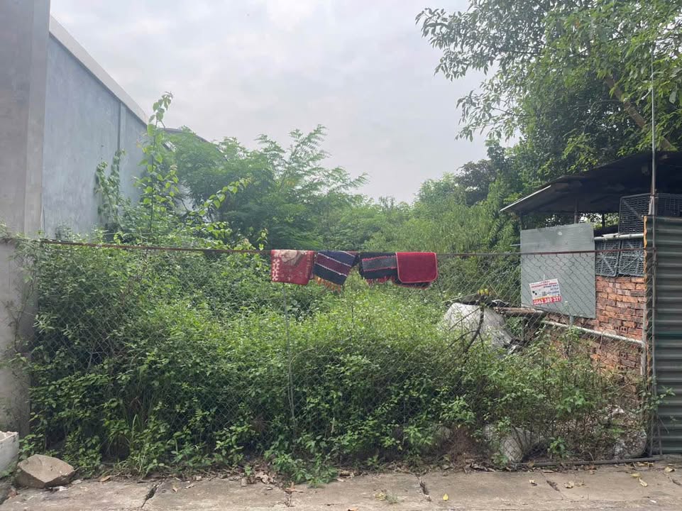 Đất nền TDP Đông Quý, Đồng Tâm 155m² giá 2.2 tỷ - Đường ô tô tránh nhau