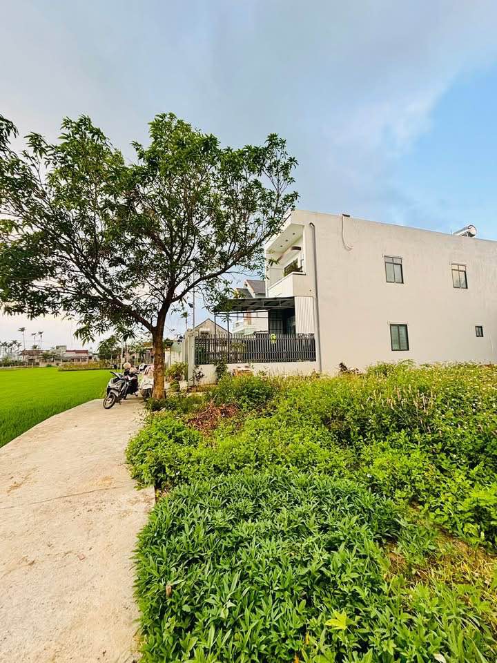 Đất liền kề Thôn Tuân Lễ, Tuy Phước Bắc, 89-104m² - Vị trí đẹp, giá tốt!