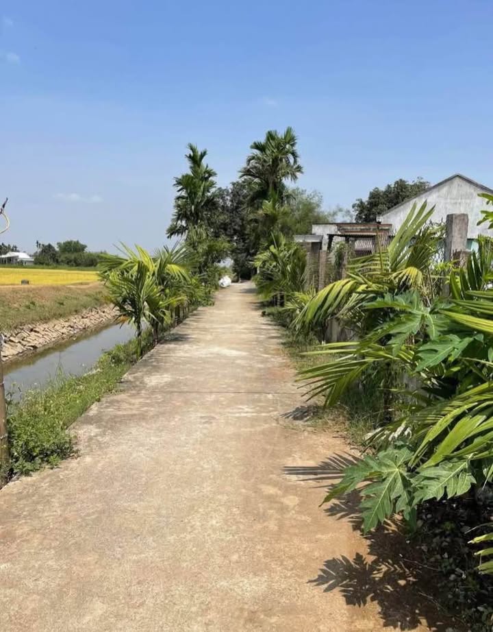 Đất nền Đại Lễ, Phước Hiệp 75m² giá 300 triệu - Đầu tư sinh lời ngay!