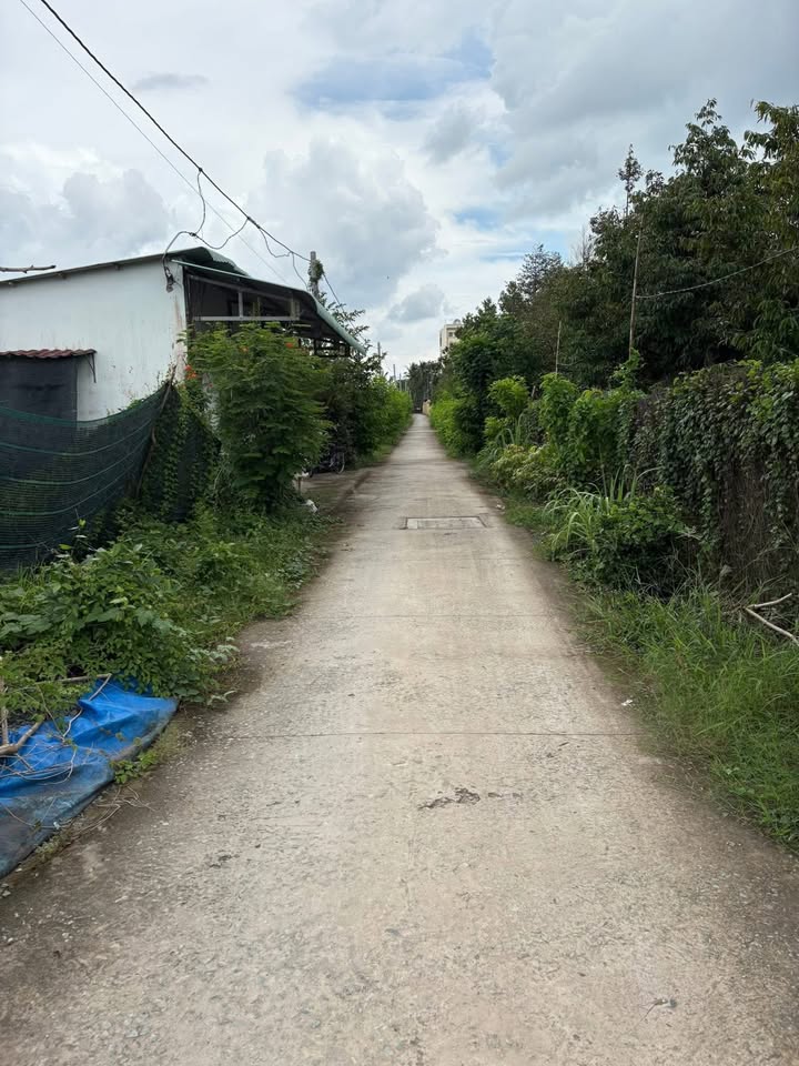 Đất nền Thị trấn Bình Phú 150m² giá 600 triệu - Sổ hồng riêng chính chủ!