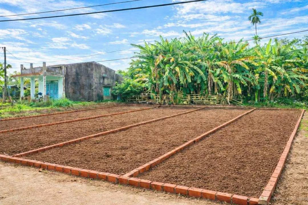 Đất nền liền kề tại Đà Nẵng 115m² chỉ 600 triệu - Sổ đỏ chính chủ!