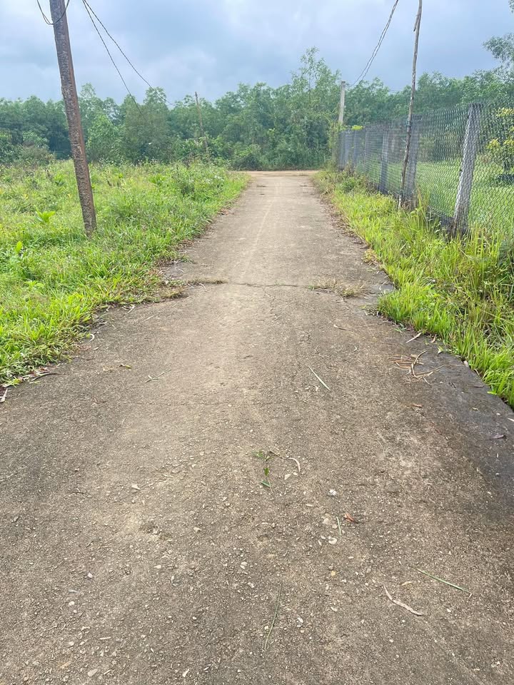 Nhà vườn Bình Minh, Quảng Ngãi 1500m² giá chỉ 7xx triệu - Đường bê tông ô tô thuận tiện!