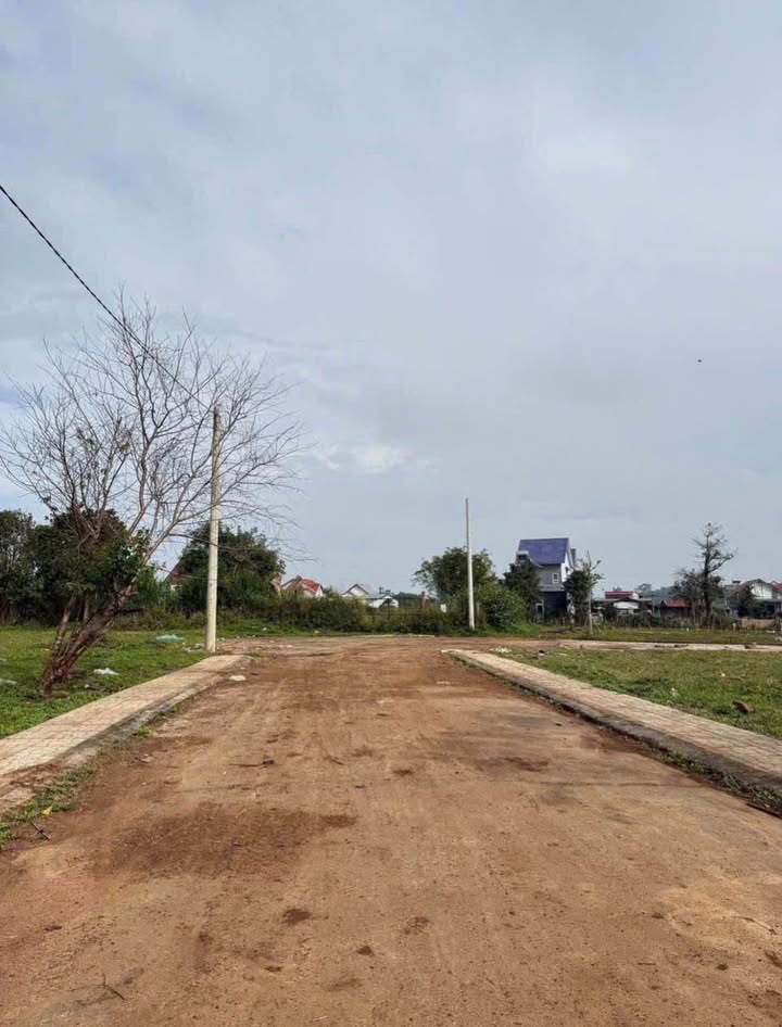 Đất nền 150m² xã Phú Hội - Đức Trọng chỉ 1.2 tỷ - Cơ hội đầu tư hấp dẫn!