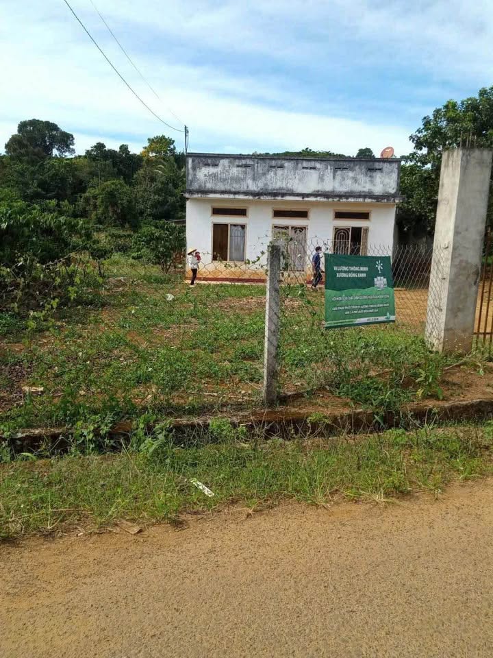 Đất mặt đường Nhựa Thông Lộc Đức, Bảo Lâm, 619.4m² giá 1.5 tỷ - Cơ hội đầu tư tuyệt vời!