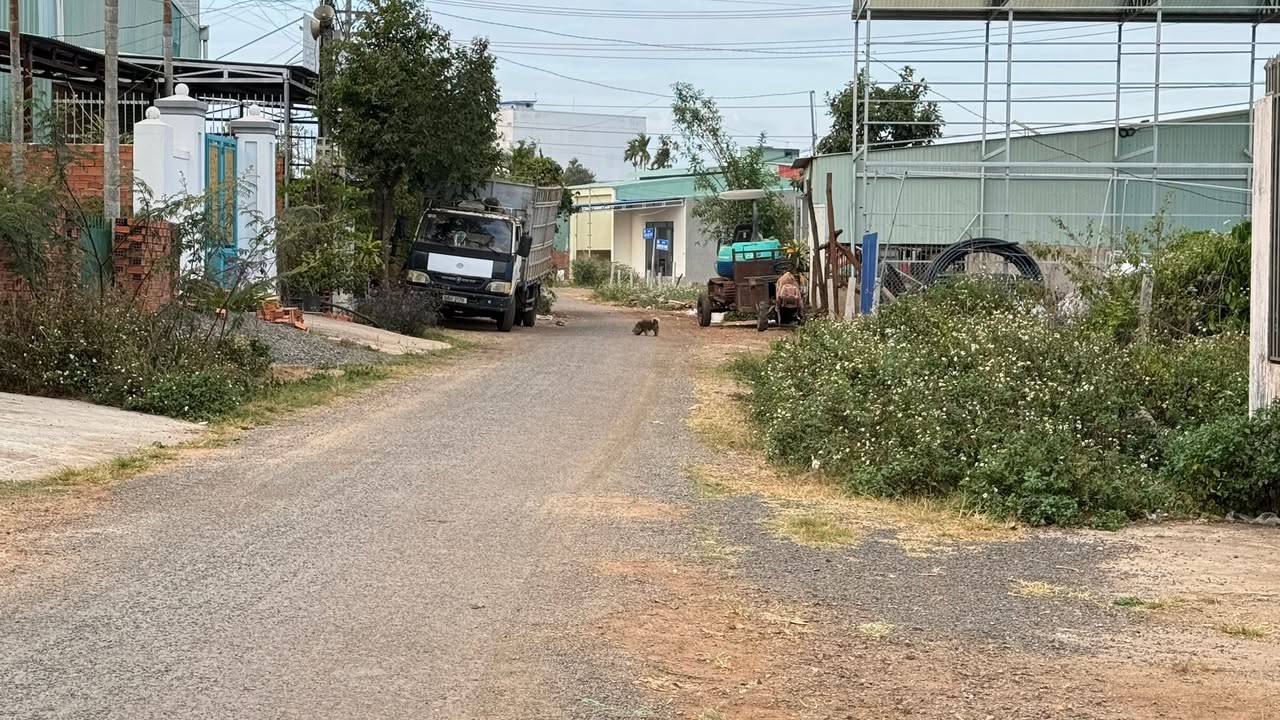 Đất nền mặt tiền đường Trần Cao Vân Chư Sê 180m² giá 950 triệu - Cơ hội đầu tư tuyệt vời!