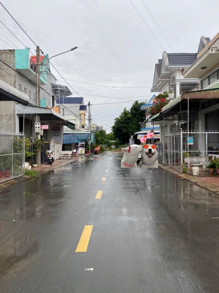 Đất nền CDC Biên Phòng - An Lộc 140m² giá chỉ 1 tỷ - Cơ hội đầu tư hiếm có!