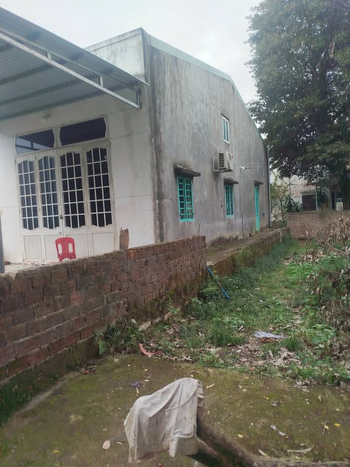 Nhà cấp 4 Hòa Tiến Đà Nẵng 100m² giá 1 tỷ - Ô tô tận nơi!