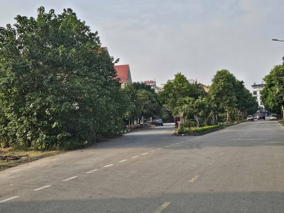 Đất nền góc Đại Hoàng Long Bắc Ninh 264m² giá 2 tỷ - Cơ hội đầu tư hấp dẫn!