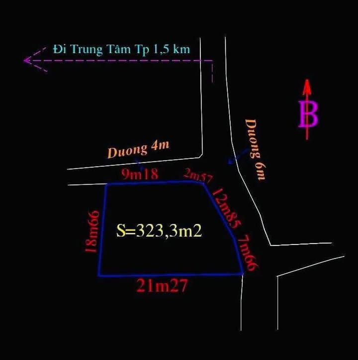 Bán vườn biệt thự mini Nghĩa Dũng 323m² giá 2 tỷ - Sổ hồng chính chủ!