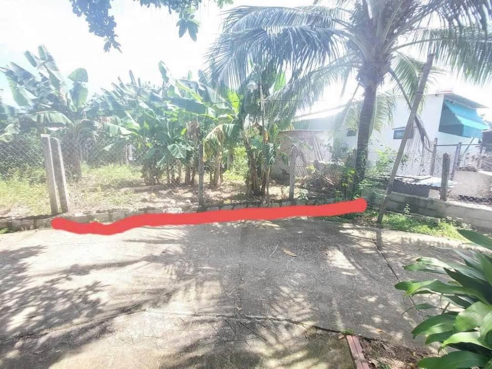 Lô đất thổ cư Diên Thọ, Diên Khánh 124,3m² giá 700 triệu - Cơ hội đầu tư hấp dẫn!