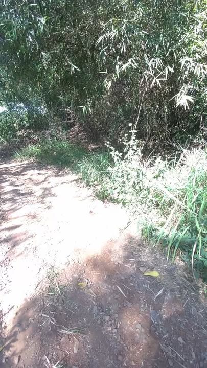 Đất nền 1000m² xã Hưng Thịnh, Trảng Bom - Mặt tiền 21m, giá đầu tư chỉ 600 triệu!