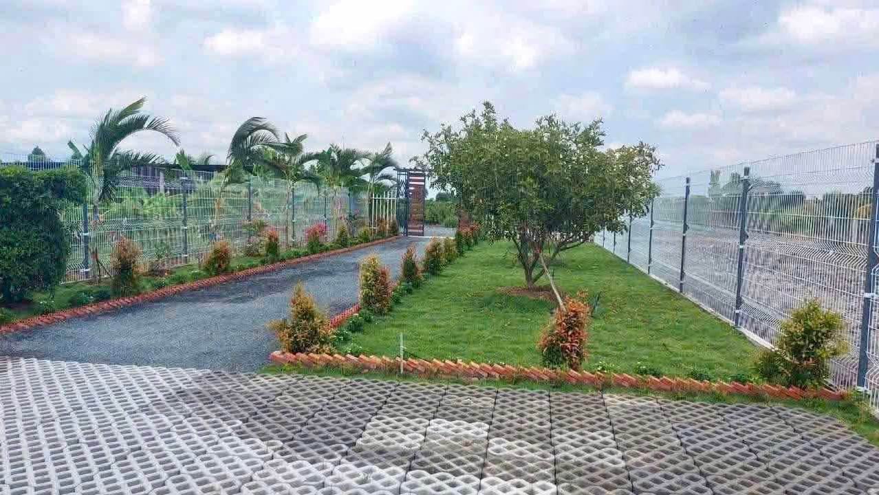 Nhà vườn đẹp tại Tân Thành, Thủ Thừa, Long An 1000m² giá 1.499 tỷ - Không khí trong lành!