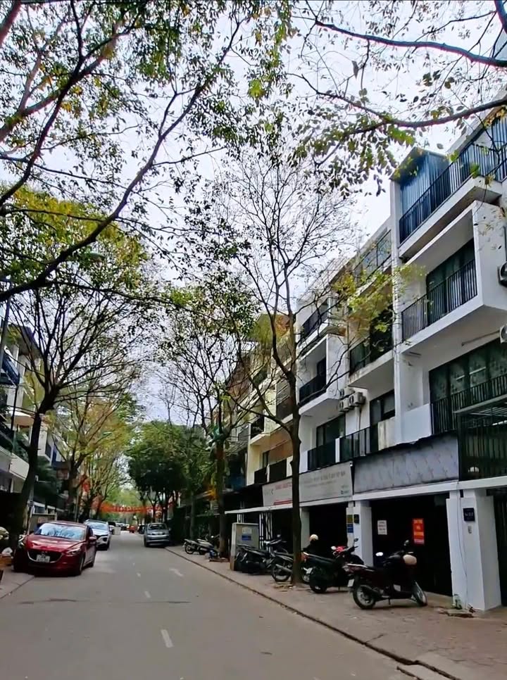 Nhà phân lô khu Mỹ Đình 65m² giá 17.9 tỷ - Vỉa hè kinh doanh đắc địa!