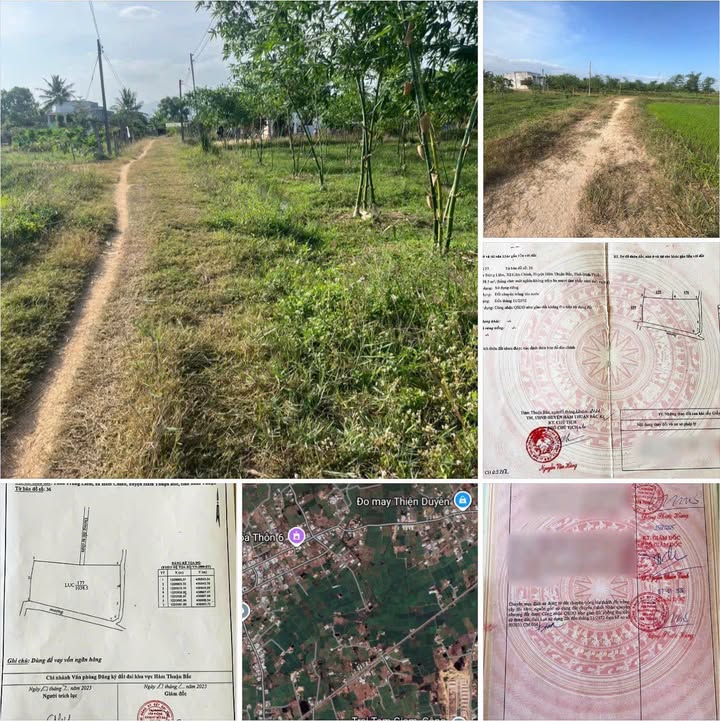 Đất trồng cây lâu năm tại xã Hàm Chính 1.038m² giá chỉ 240 triệu - Sổ đỏ sang tên ngay!