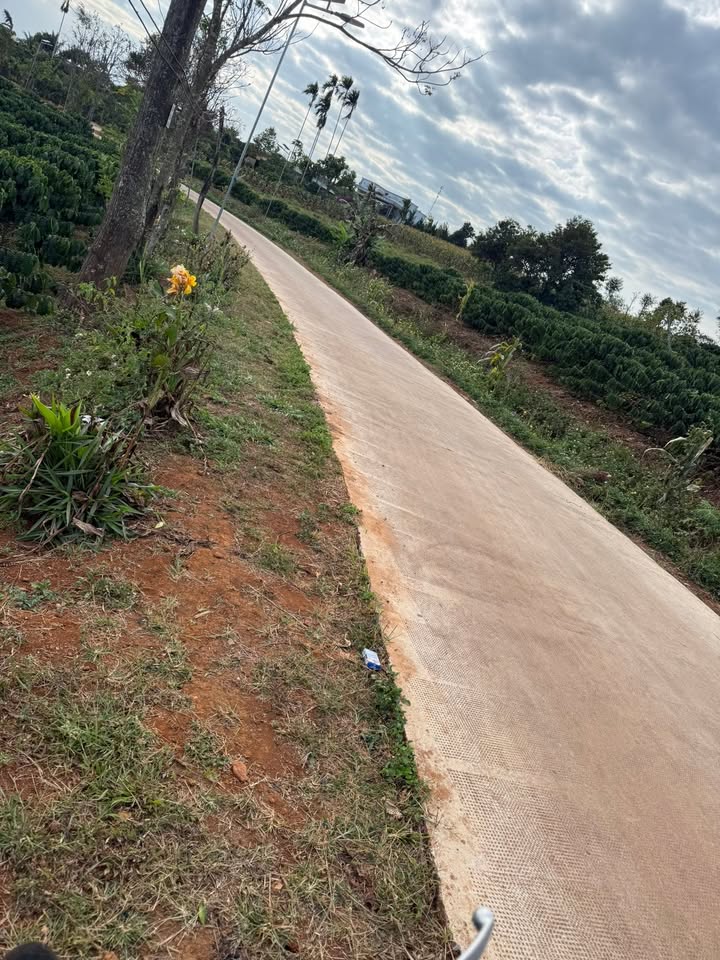 Đất nông nghiệp 86.000m² tại Hoài Đức, Lâm Hà - Giá 5 tỷ, bớt lộc cho khách thiện chí!