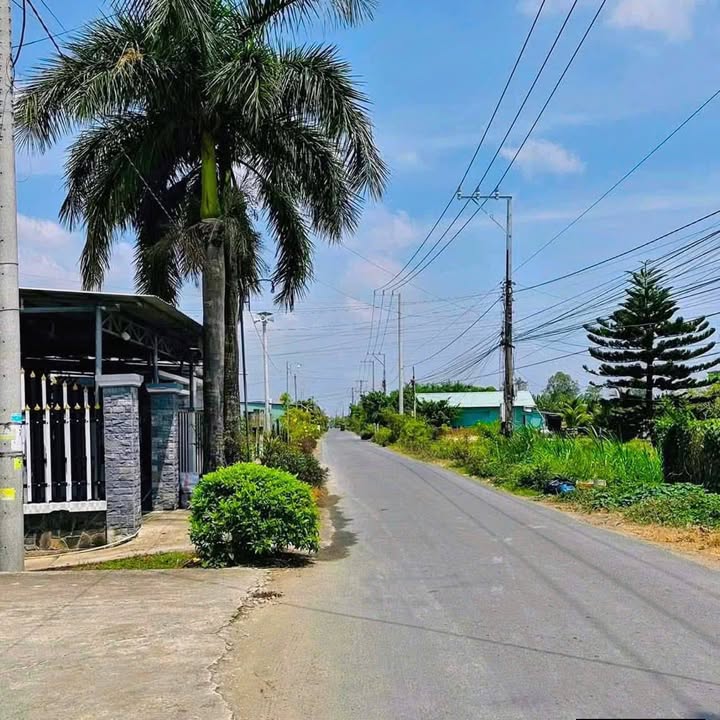 Đất thổ cư 812m² tại Ấp Thuận Trị, Đồng Tháp - Giá chỉ 2.6 tỷ!