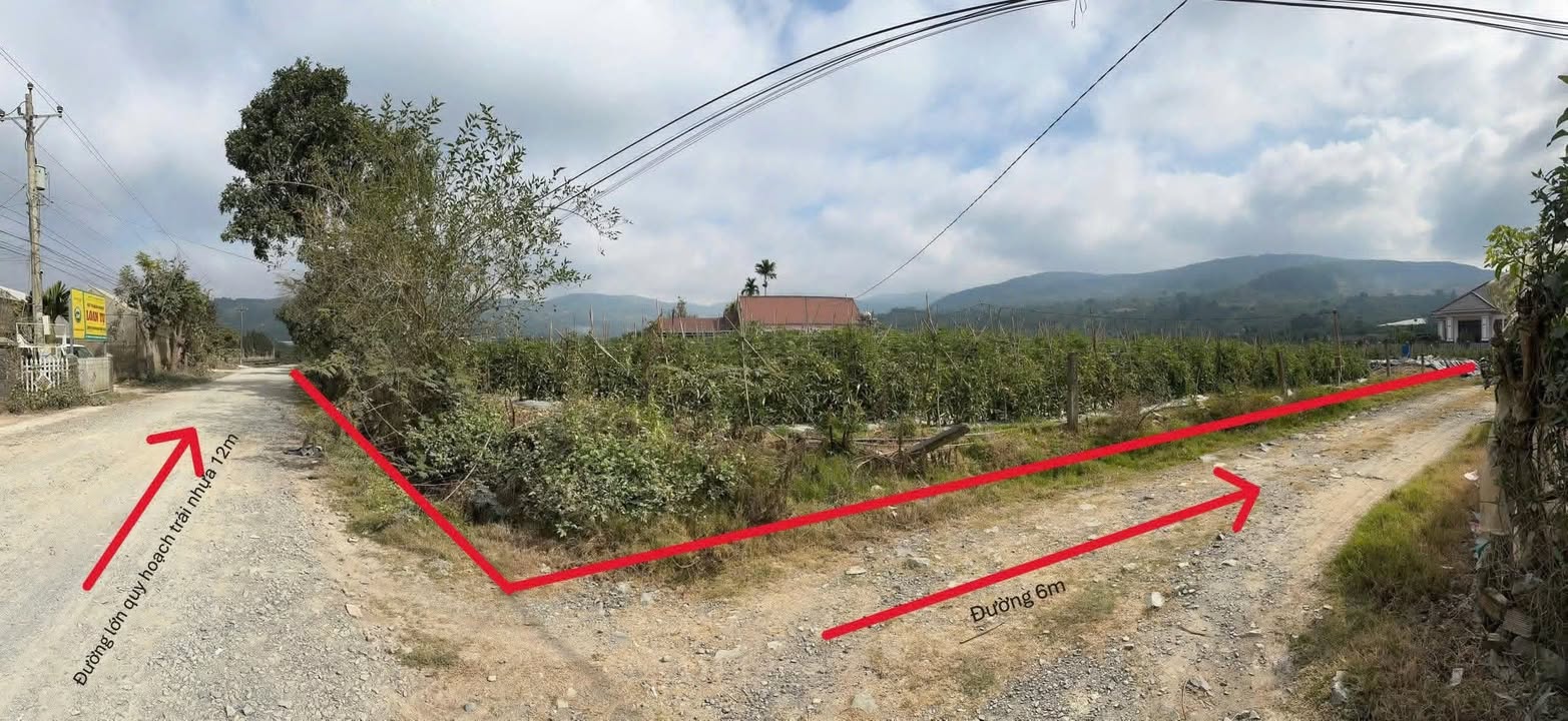 Đất nền 5 sào Gần Reo, Hiệp Thạnh, Lâm Đồng giá 13 tỷ - Đầu tư sinh lời ngay!