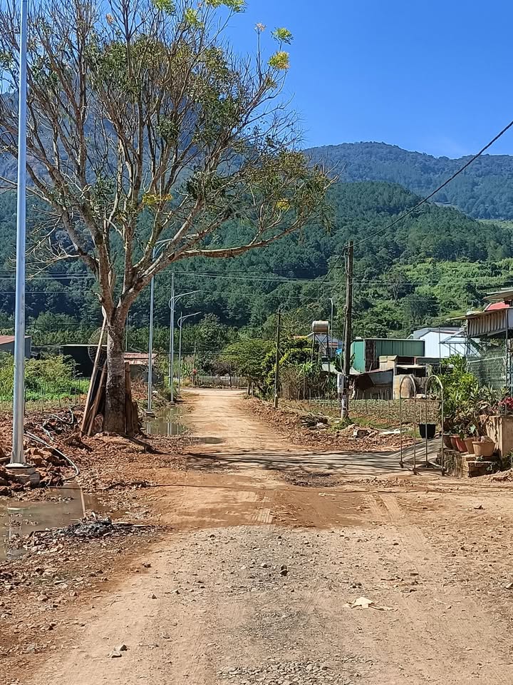 Đất nền liền kề Hồ Lê Thứ Đà Lạt 138m² giá 1.75 tỷ - Sổ hồng riêng!