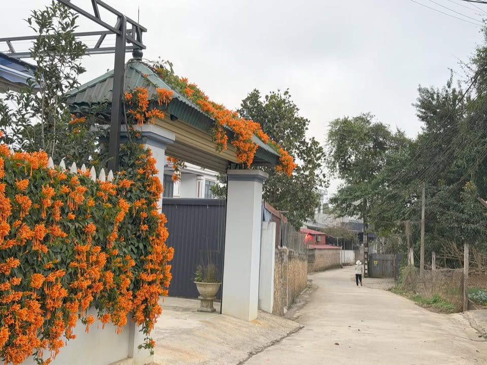 Đất nền tại Bếp Nhớ, Mộc Sơn, 115m² chỉ 2 tỷ - Cơ hội đầu tư tuyệt vời!