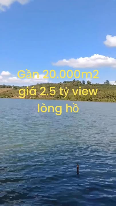 Farm 1.4ha tại Bình Thạnh giá 2.5 tỷ - Đường ô tô thuận tiện!