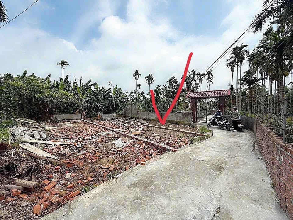 Đất nền tại Tổ dân phố Kiều Hạ 1, An Hải 55m² chỉ 550 triệu - Đầu tư sinh lời!