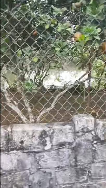 Đất thổ cư 1200m² tại Yên Sơn - Giá chỉ 40 triệu - Đầu tư sinh lời ngay!