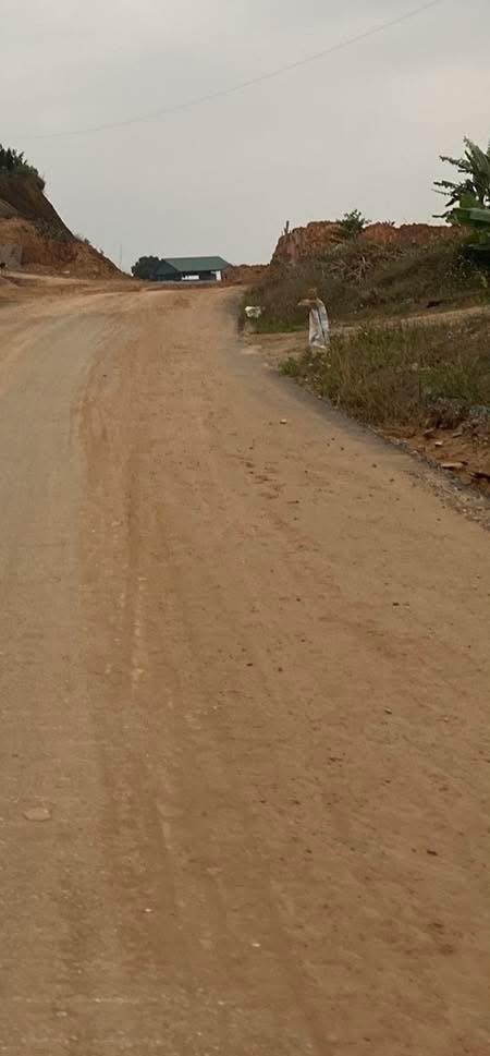 Đất thổ cư 240m² tại Đường lớn, Huyện Thanh Sơn chỉ 2 tỷ - Cơ hội đầu tư vàng!