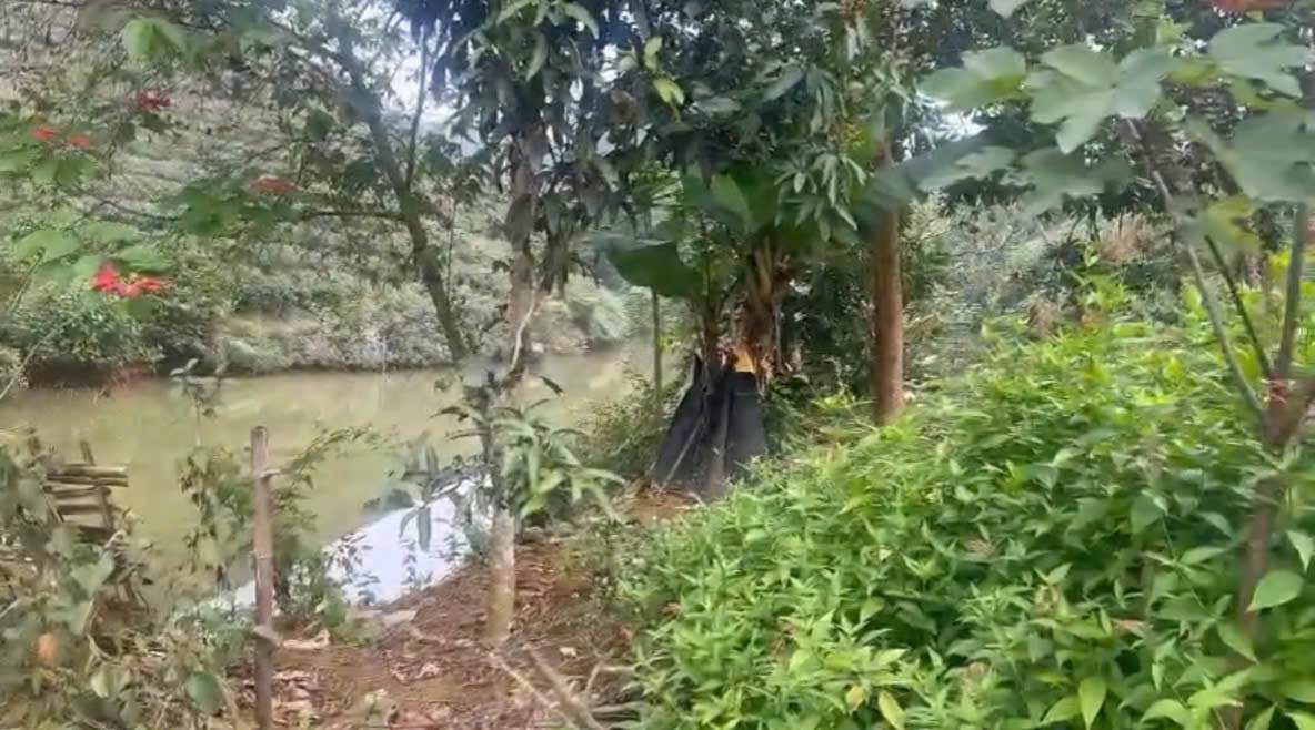 Đất Farm tại Xã Long Cốc, Huyện Tân Sơn, 600m² - Đầu tư sinh lời, nghỉ dưỡng lý tưởng!