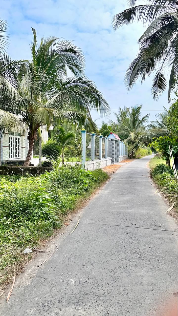 Đất vườn dừa 3040m² tại Giồng Lức, Châu Thành - Giá chỉ 1,4 tỷ VND