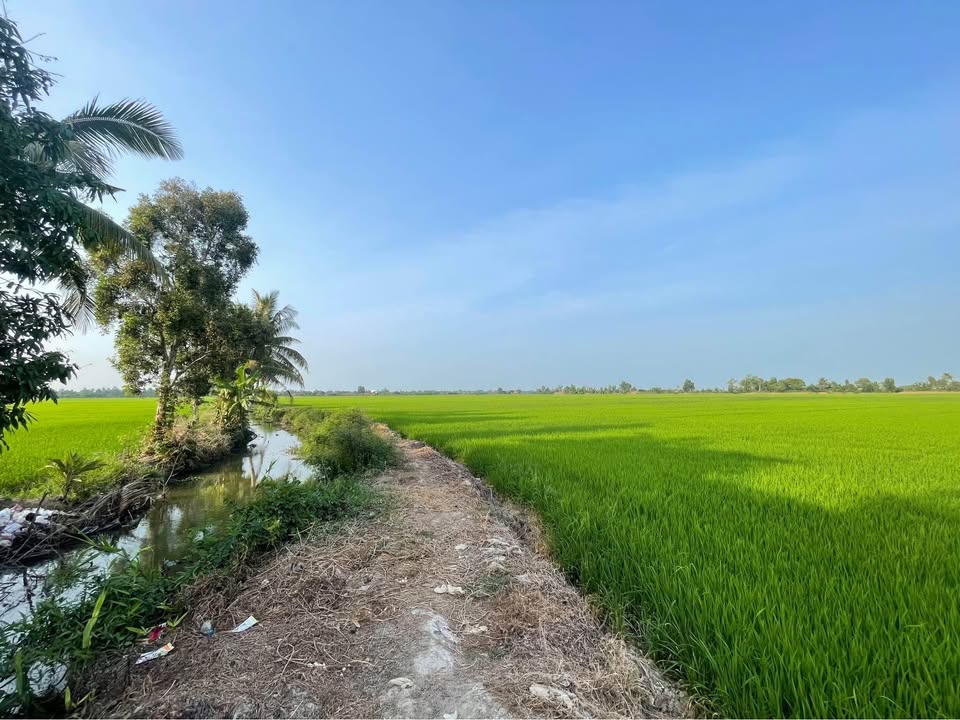 Đất thổ cư 14.000m² tại Minh Lương, Châu Thành - Giá 2.369 tỷ, đầu tư sinh lời!