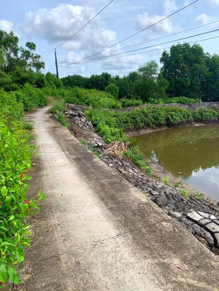 Đất nền Kinh Ông Nở Bạc Liêu 50.000m² giá 2.5 tỷ - Sổ xanh chính chủ!