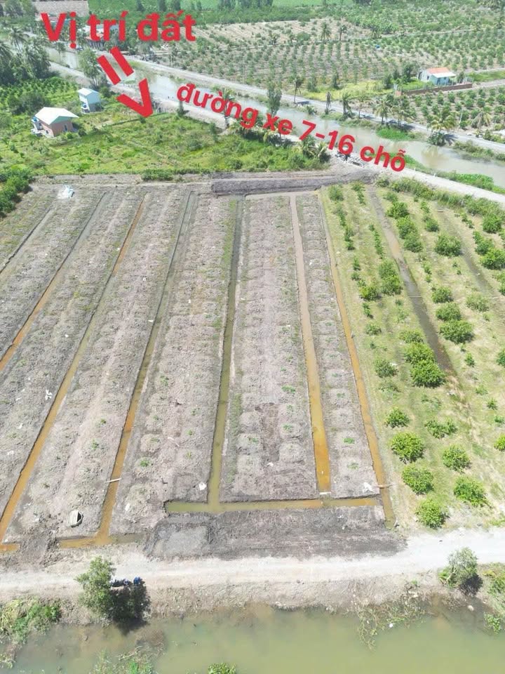 Đất vườn 575m² tại Ấp 5 Bình Đức, Bến Lức - Chỉ 1 tỷ, Sổ đỏ chính chủ!