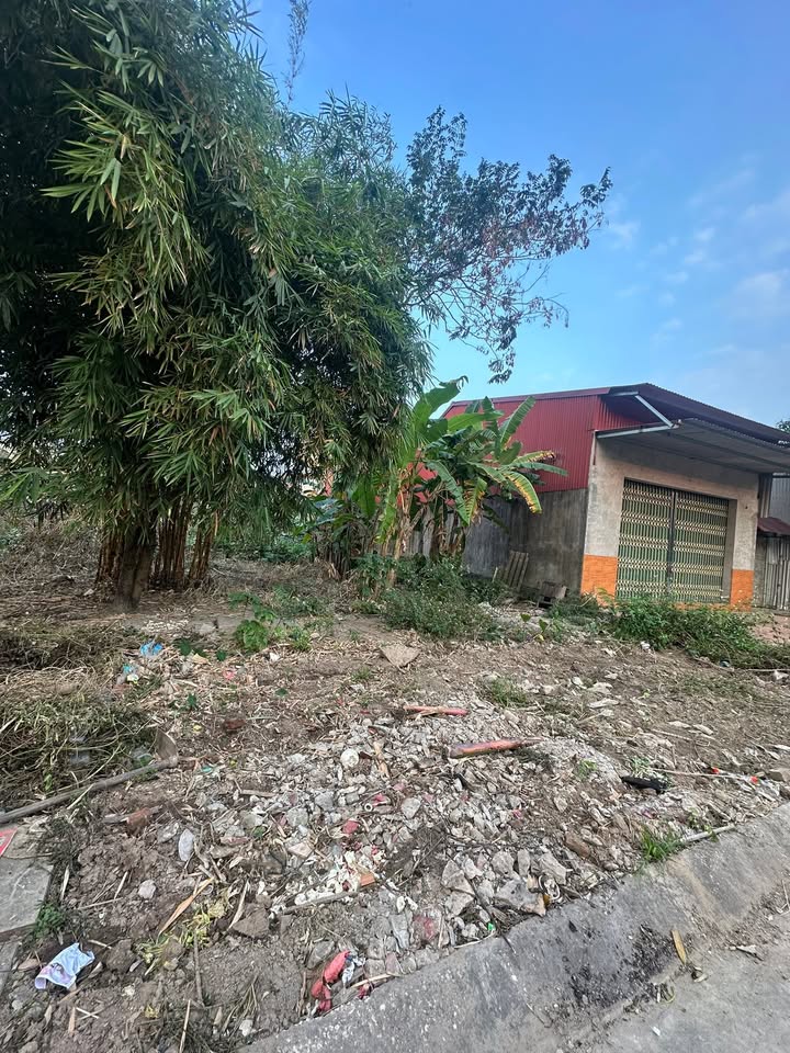 Đất chính chủ Khu phố Mai Động, Bắc Ninh 117m² giá 5.85 tỷ - Đầu tư sinh lời ngay!