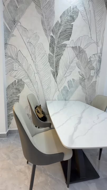 Nhà phố tại Hưng Phú, Quận 8 - 35.7m² giá 5.75 tỷ - Sổ hồng hoàn công