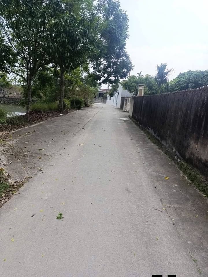 Đất nền Khu Văn Phú Sầm Sơn 124m² giá tốt - Đón nắng sớm, phong thủy vượng!