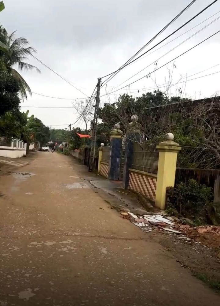 Đất nền Xóm 3, xã Tràng Sơn, Huyện Đô Lương 350m² giá 1 tỷ - Đường rộng thênh thang!