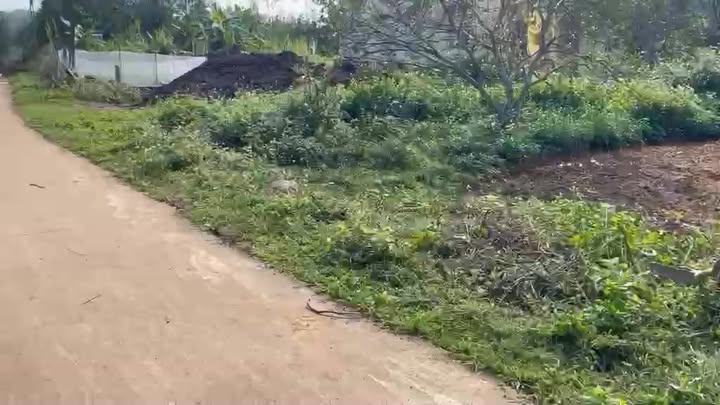 Đất nền Xóm Phượng, Minh Sơn, Đô Lương 240m² giá 400 triệu - Cơ hội đầu tư hấp dẫn!