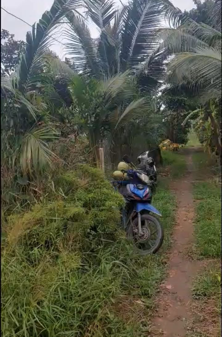 Đất nhánh Rạch Ông Cò, Thường Thạnh, Cái Răng 1037m² giá 1.4 tỷ - Sổ hồng chính chủ!