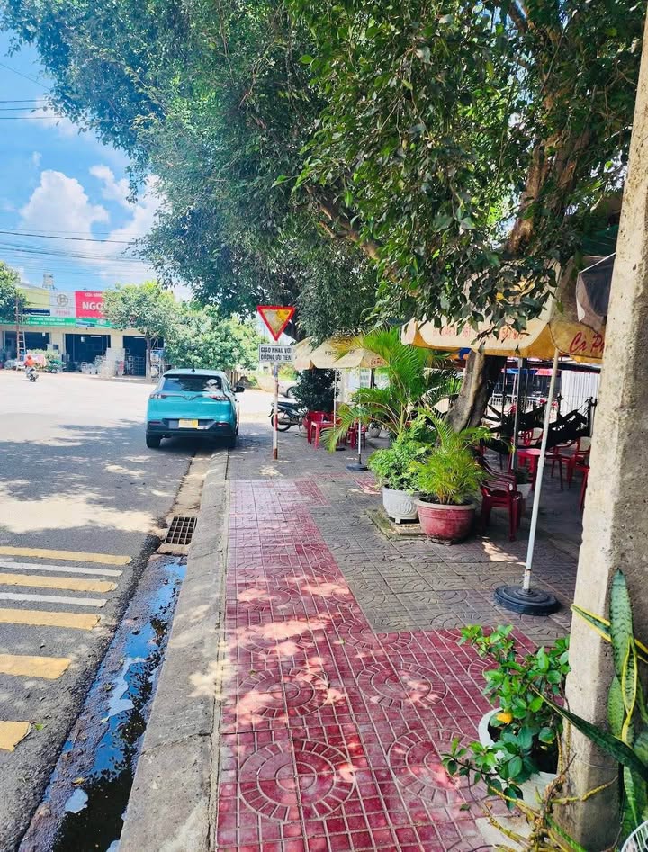 Đất thổ cư Trần Văn Hai 104m² giá 1.3 tỷ - Đầu tư sinh lời ngay!