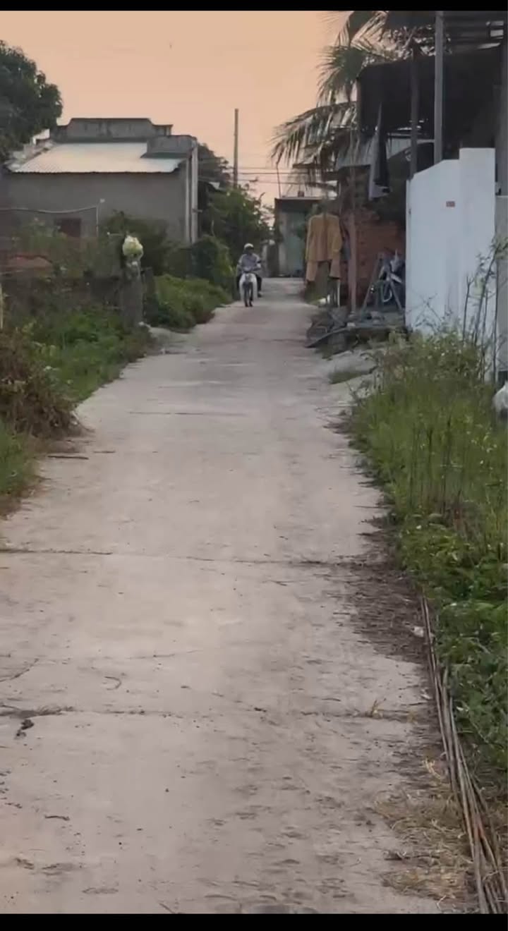 Đất nền chính chủ tại Nguyễn Tri Phương, La Gi 100m² - Cơ hội đầu tư tuyệt vời!