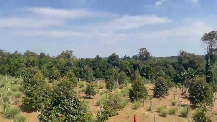 Farm đẹp tại Xã Hàng Gòn, Long Khánh 360m² giá 3.06 tỷ - Cơ hội đầu tư hấp dẫn!