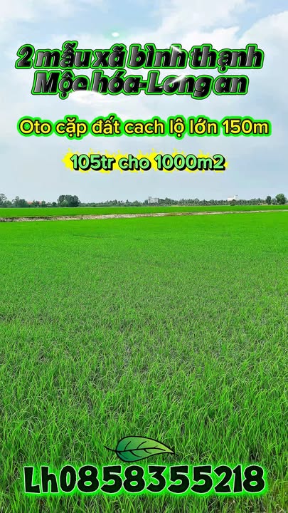 Đất nông nghiệp 2 mẫu tại Thủ Thừa, Long An chỉ 840 triệu - Cơ hội đầu tư hấp dẫn!