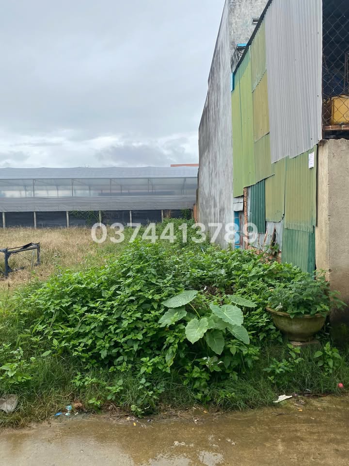 Đất thổ cư Phú Hội, Đức Trọng 169m² giá 1.85 tỷ - Cơ hội vàng đầu tư!