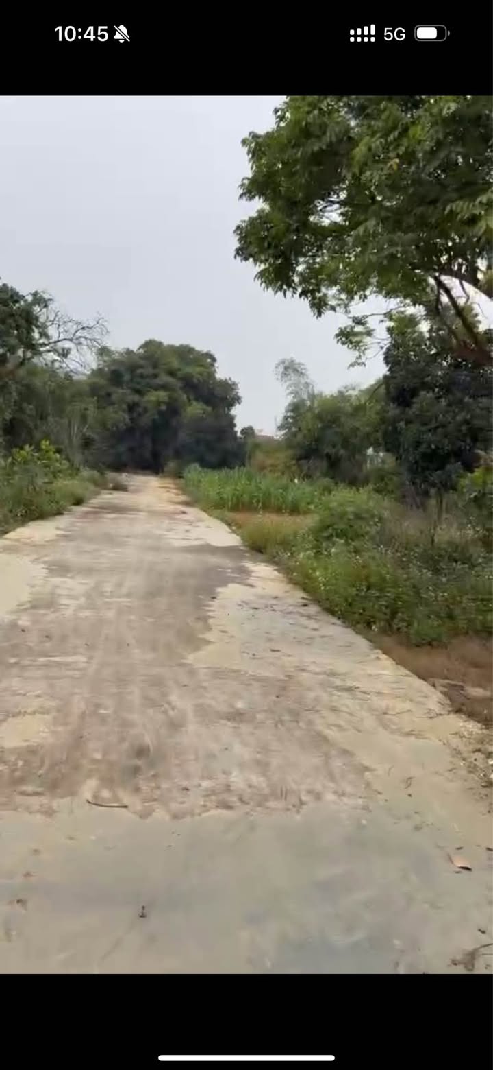 Lô đất An Tường Tuyên Quang 230m² giá thỏa thuận - View hồ thoáng mát