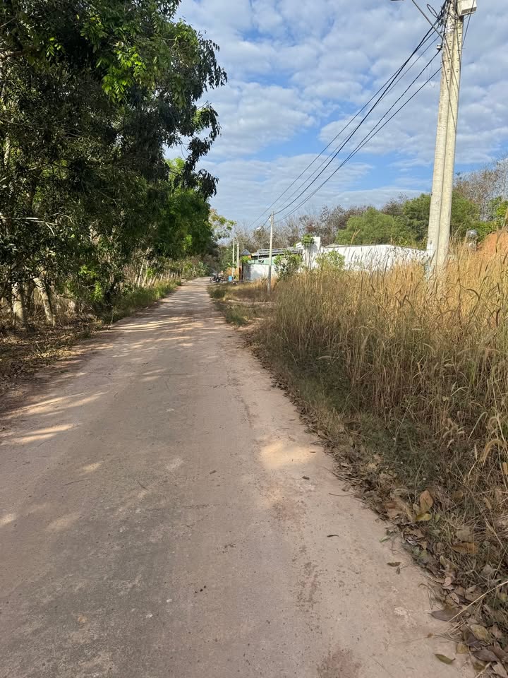 Đất nền Kp2, Phường Tiến Thành, 246m² giá 800 triệu - Cơ hội đầu tư tuyệt vời!