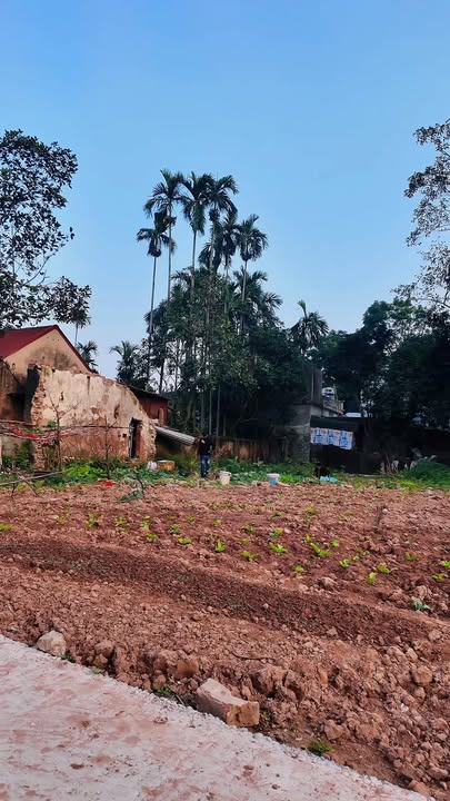 Đất nền Sun Urban City Hà Nam 83m² giá 900 triệu - Cơ hội đầu tư sinh lời!