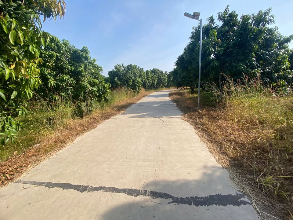 Đất nông nghiệp xã Thanh Sơn, Định Quán 14.342m² giá 1.8 tỷ - Đầu tư lý tưởng!