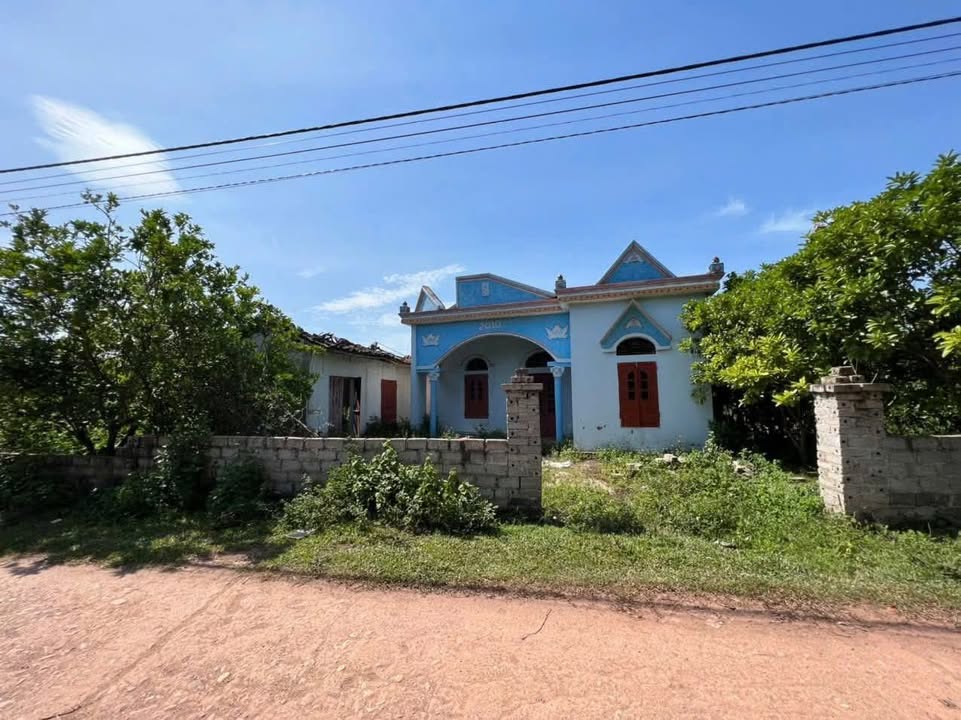 Đất nền Lục Ngạn Bắc Giang 248m² giá chỉ vài trăm triệu - Đầu tư sinh lời lý tưởng!